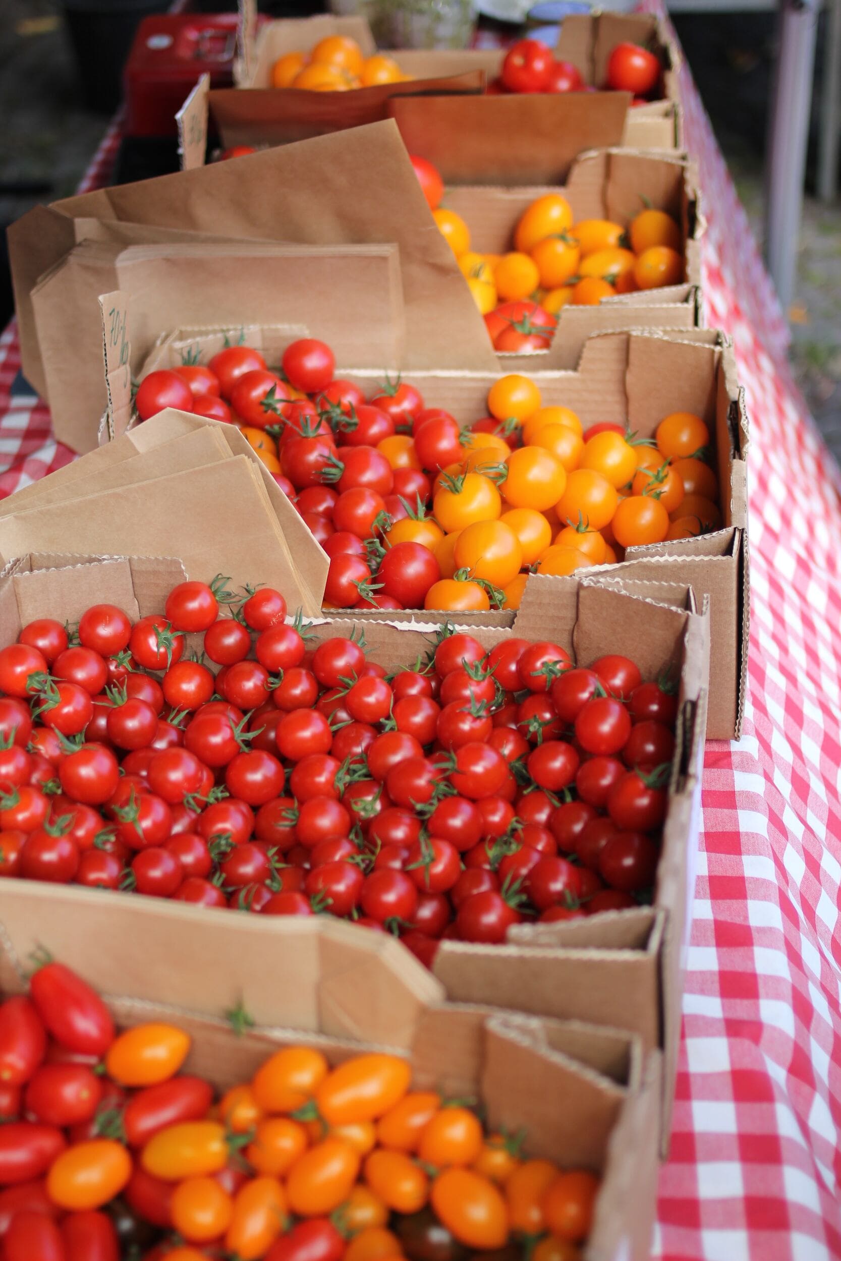 Griekse tomaten in kartonnen dozen